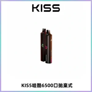 KIS5WAGOO哇酷6500口拋棄式 | 自由混搭雙口味 | 雙芯組合